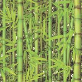 Dutch Wallcoverings schuimvinyl bamboe - groen