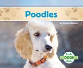 Dogs Set 2 - Poodles