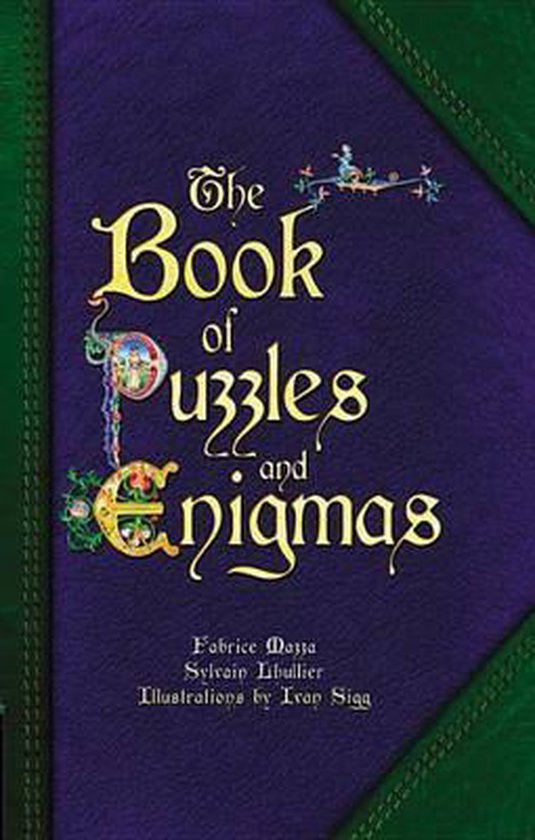 Book of Puzzles and Enigmas, Fabrice Mazza 9780785834540 Boeken