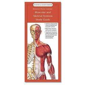 Illustrated Pocket Anatomy: Muscular And Skeletal Systems Study Guide