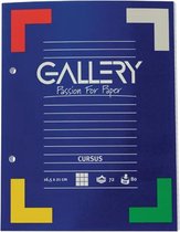 Gallery cursusblok formaat 210 x 165 mm - 2-gaatsperforatie - geruit 5 mm - 2 stuk