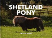 Spirit of the Shetland Pony