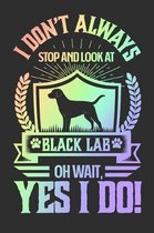 I Don't Always Stop and Look At Black Lab OH Wait, Yes I Do!