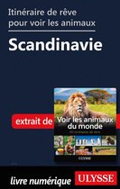 Itinéraire de rêve pour voir les animaux - Scandinavie