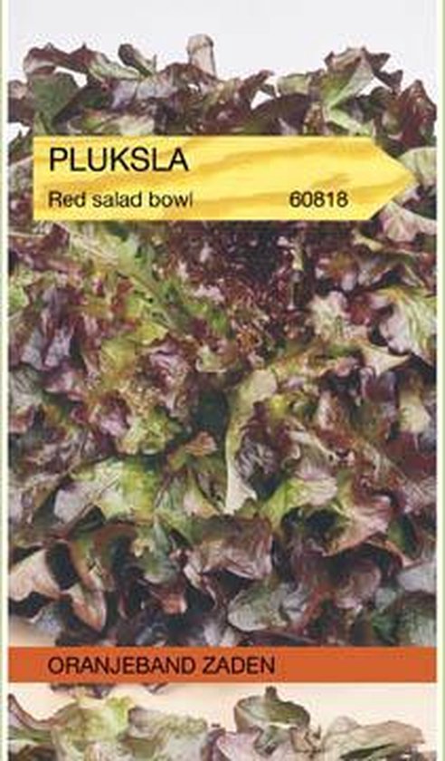 Pluksla Red Salad Bowl, met roodpaarse bladeren en groene accenten. Oranjeband Zaden 60818.