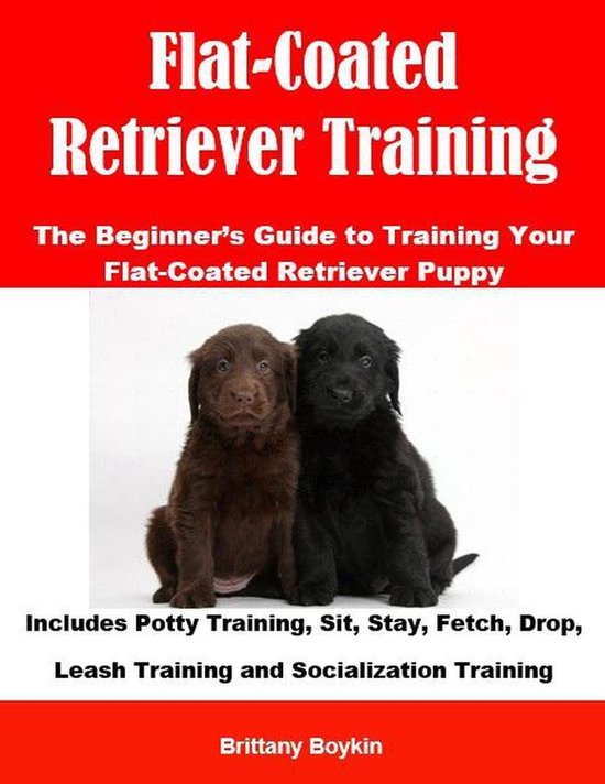Flat-Coated Retriever Training: The Beginner’s Guide to Tr ... - cover