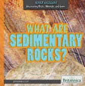 Junior Geologist: Discovering Rocks, Minerals, and Gems - What Are Sedimentary Rocks?