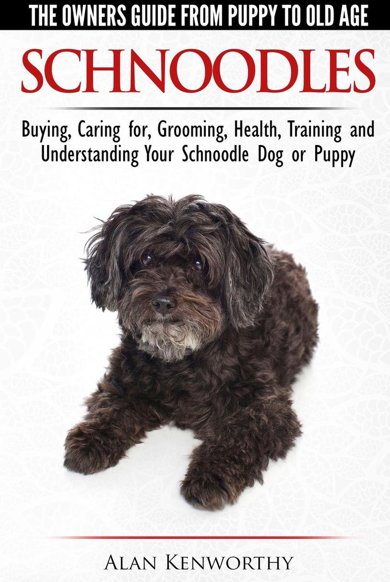 Old　for,　Guide　Age　Caring　Owners　from　Choosing,　The　to　Puppy　Schnoodles:　Grooming,...