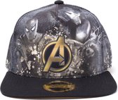 Avengers: Infinity War - Heroes All AOP - Snapback Pet