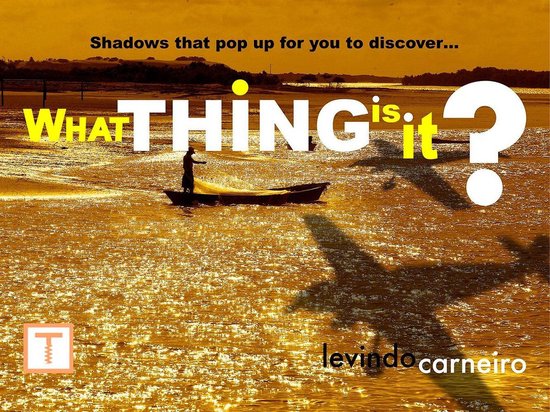 What thing is it? - cover