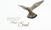 Premium Aluminium - Foto op aluminium - Tekst: What wings are to a bird and sails to a ship, so is prayer to the soul (40 x 60cm)