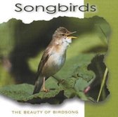 Songbirds: The Beauty of Birdsong