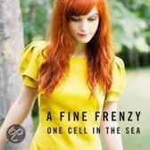 One Cell In The Sea