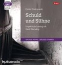 Schuld und Sühne: Ungekürzte Lesung (3 mp3-CDs) | Dost... | Book