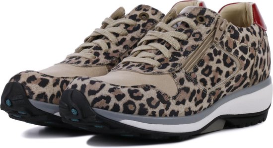 Xsensible Stretchwalker Vrouwen Sneakers - 30042.2 leopard - Diversen -  Maat 37 | bol
