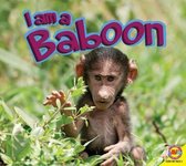 Baboon