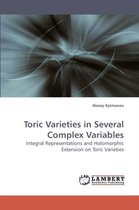 Toric Varieties in Several Complex Variables