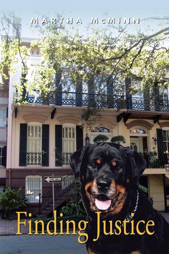 Finding Justice - cover