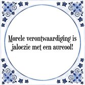 Tegeltje met Spreuk (Tegeltjeswijsheid): Morele verontwaardiging is jaloezie met een aureool! + Kado verpakking & Plakhanger