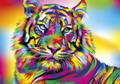Diamond painting - Volwassenen - Gekleurde tijger - Dieren - Afmeting 20 x 25 cm - Pakket - Inclusief tools- Tiger Stripes