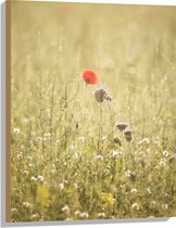 WallClassics - Hout - Rood Bloempje tussen Grassen - 60x80 cm - 12 mm dik - Foto op Hout (Met Ophangsysteem)