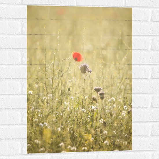 WallClassics - Muursticker - Rood Bloempje tussen Grassen - 50x75 cm Foto op Muursticker