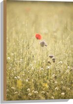 WallClassics - Hout - Rood Bloempje tussen Grassen - 40x60 cm - 12 mm dik - Foto op Hout (Met Ophangsysteem)