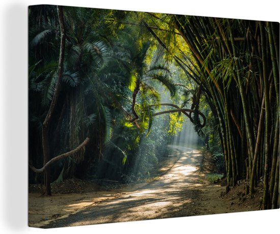 Rijen bamboe in Azie Canvas - Foto print op Canvas schilderij (Wanddecoratie)