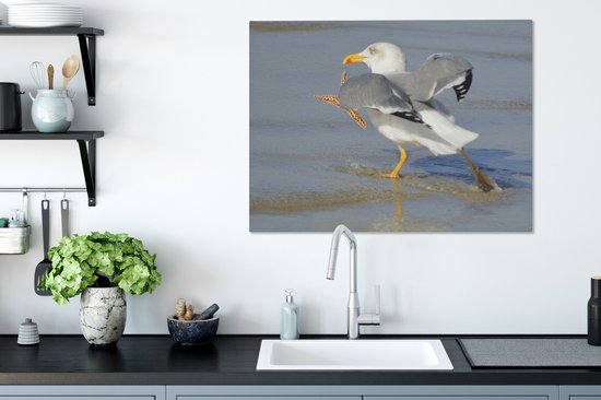 Une image d'un goéland argenté attrapant une étoile de mer Toile 80x60 cm - Tirage photo sur toile (Décoration murale salon / chambre)