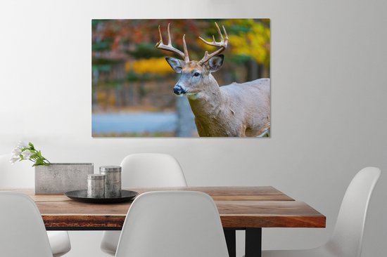 Cerf avec la tête en l'air toile 2cm 60x40 cm - Tirage photo sur toile peinture (Décoration murale salon / chambre) / animaux sauvages Peintures sur toile