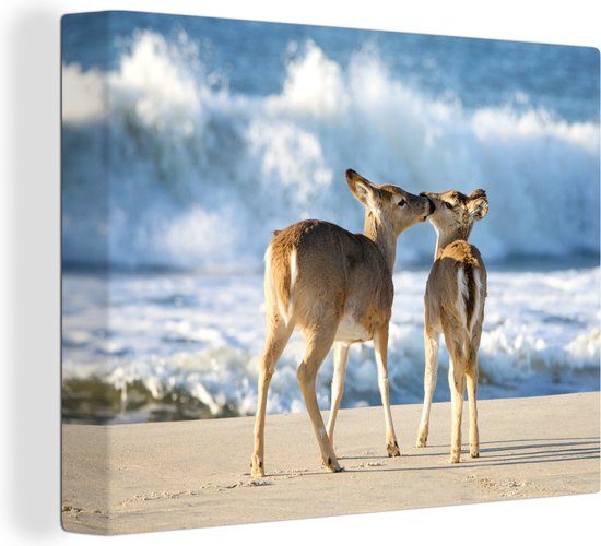 Aimer le cerf à la mer toile 2cm 80x60 cm - Tirage photo sur toile peinture (Décoration murale salon / chambre) / animaux sauvages Peintures sur toile