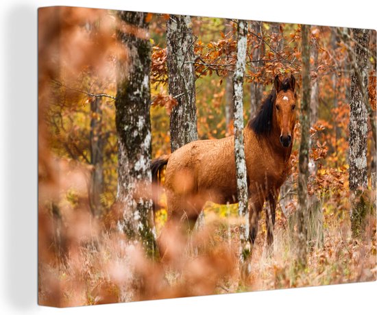 Canvas Schilderij Paard - Bos - Bruin - 60x40 cm - Wanddecoratie