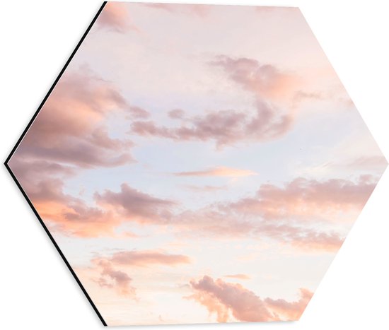 WallClassics - Dibond Hexagon - Pastelkleuren in de Lucht - 40x34.8 cm Foto op Hexagon (Met Ophangsysteem)