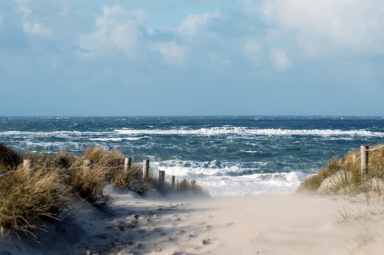 Texelphotos.nl - Foto afdruk als tuinposter – Texel Duinpad - Duinen - Strand - Zee - Zonsondergang - Noordzee – Wanddecoratie - Tuinposter – Natuur - Landschap - 90 x 60 cm.
