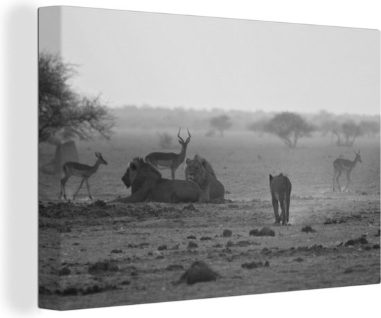 Canvas Schilderij Vele wilde dieren in het Nationaal park Makgadikgadi Pans - zwart wit - 60x40 cm - Wanddecoratie