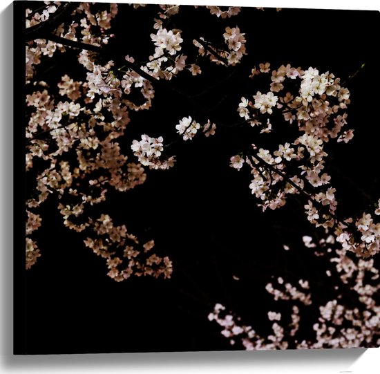 WallClassics - Canvas  - Roze Bloesembloemetjes aan Tak in de Nacht - 60x60 cm Foto op Canvas Schilderij (Wanddecoratie op Canvas)