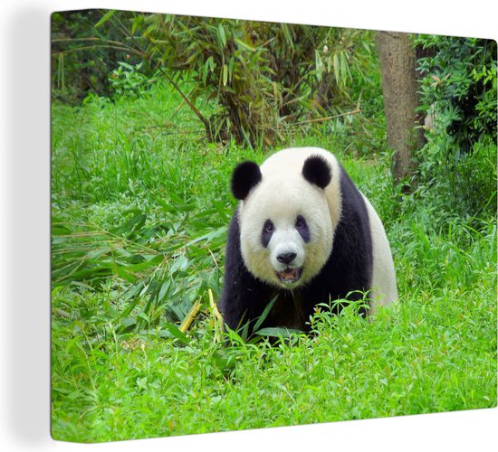 Grote panda in het gras Canvas 120x80 cm - Foto print op Canvas schilderij (Wanddecoratie)