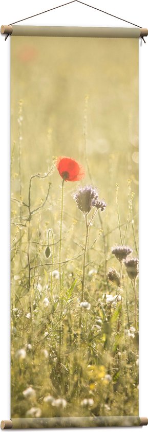 WallClassics - Textielposter - Rood Bloempje tussen Grassen - 40x120 cm Foto op Textiel