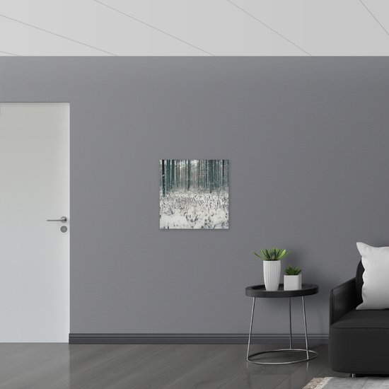 WallClassics - Toile - Image de Snowy Terre - 60x60 cm Image sur Toile Peinture (Décoration murale sur Toile)