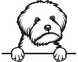 Maltipoo hond decoratie groot-zwart