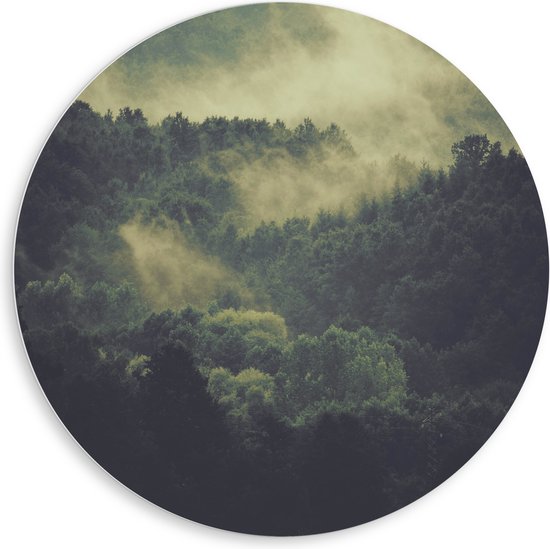 WallClassics - Cercle mural en panneau de mousse PVC - Brouillard au-dessus de la cime des arbres - Photo 80x80 cm sur cercle mural (avec système de suspension)