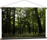 WallClassics - Textielposter - Alleenmaar Groen in het Bos - 90x60 cm Foto op Textiel