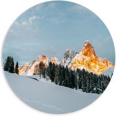WallClassics - PVC Schuimplaat Muurcirkel - Bomen en Rotsen in Sneeuwgebied - 70x70 cm Foto op Muurcirkel (met ophangsysteem)