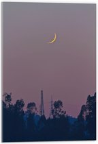 WallClassics - Acrylglas - Smalle Maan boven Bomen en Electriciteismasten - 40x60 cm Foto op Acrylglas (Wanddecoratie op Acrylaat)