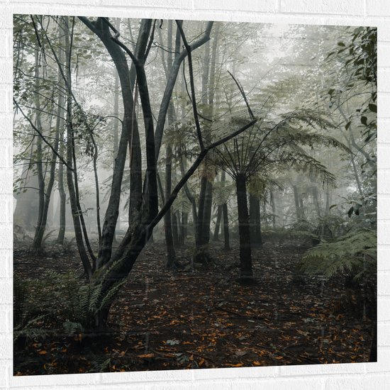 WallClassics - Muursticker - Forêt Brumeuse - 100x100 cm Photo sur Muursticker