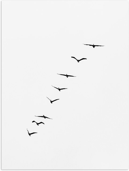 WallClassics - Poster Glossy - Ligne Oblique d' Vogels Noirs sur Fond Witte - 30x40 cm Photo sur Papier Poster avec Finition Brillante