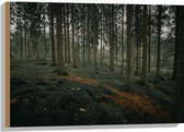 WallClassics - Hout - Heuvel Bos - 75x50 cm - 12 mm dik - Foto op Hout (Met Ophangsysteem)