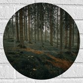 WallClassics - Muursticker Cercle - Forêt de collines - 40x40 cm Photo sur Muursticker