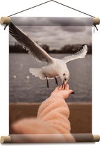 WallClassics - Affiche Textile - Mouette mangeant à la main - 30x40 cm Photo sur Textile