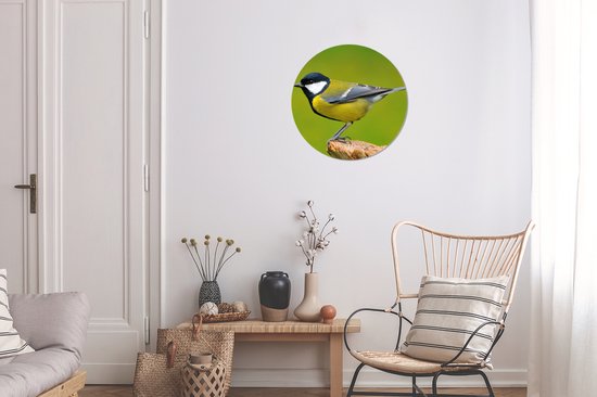 Cercle mural - Cercle mural - Vogel - Mésange charbonnière - Vert - Animaux - Plastique - Cercle mural intérieur - Tableaux ronds - 30x30 cm - Cercle mural oiseau - Décoration murale rond - Tableau rond